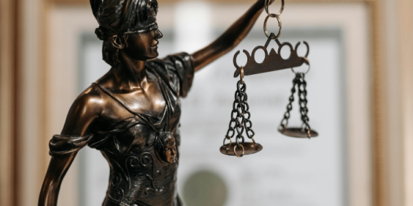 “That Judge Got It Wrong!”: Grounds for Appeal and the Standard of Review